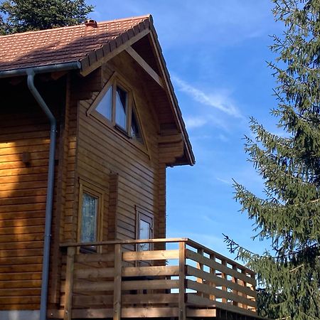 Chalet Authentique Au Calme, En Lisiere De Foret, Montagne, Sentiers 15Mn Gerardmer & Alsace "Chalet Mon Beau Sapin" Anould ภายนอก รูปภาพ
