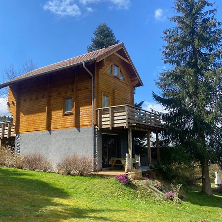 Chalet Authentique Au Calme, En Lisiere De Foret, Montagne, Sentiers 15Mn Gerardmer & Alsace "Chalet Mon Beau Sapin" Anould ภายนอก รูปภาพ