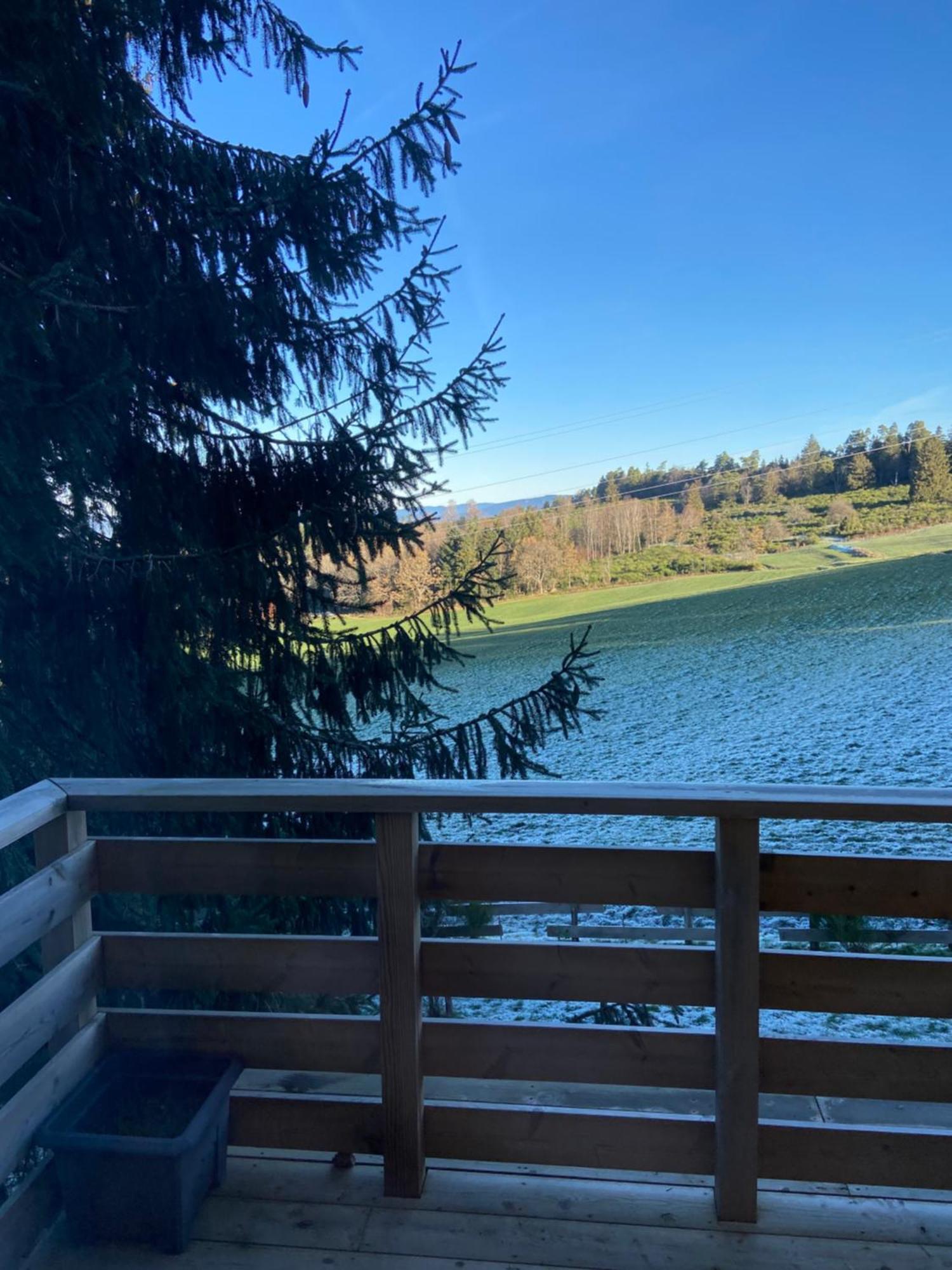 Chalet Authentique Au Calme, En Lisiere De Foret, Montagne, Sentiers 15Mn Gerardmer & Alsace "Chalet Mon Beau Sapin" Anould ภายนอก รูปภาพ