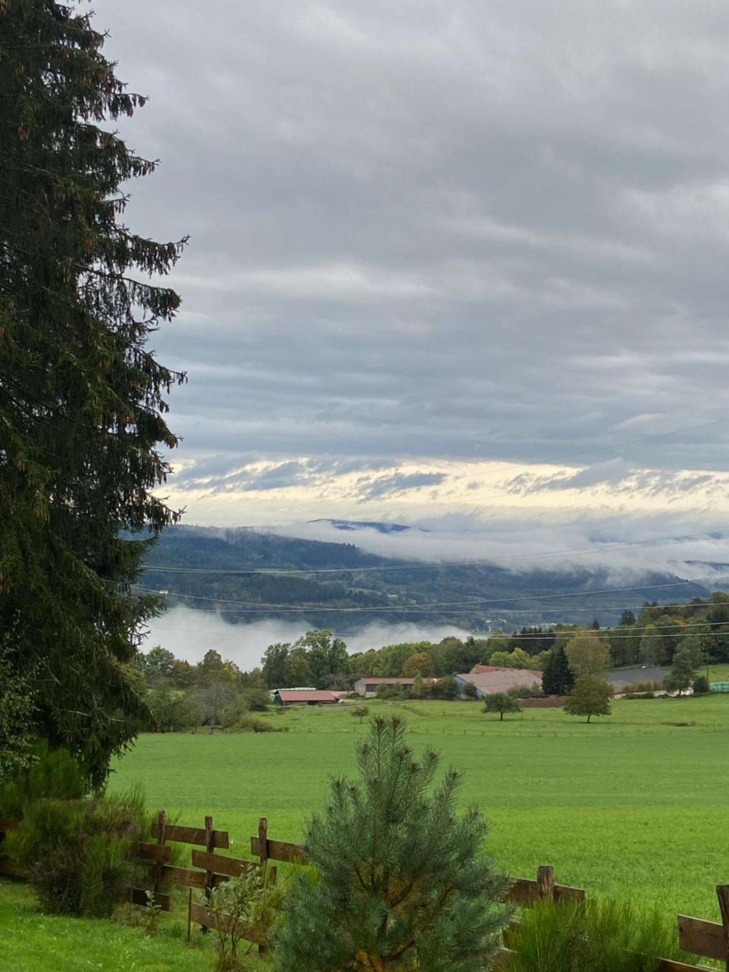 Chalet Authentique Au Calme, En Lisiere De Foret, Montagne, Sentiers 15Mn Gerardmer & Alsace "Chalet Mon Beau Sapin" Anould ภายนอก รูปภาพ