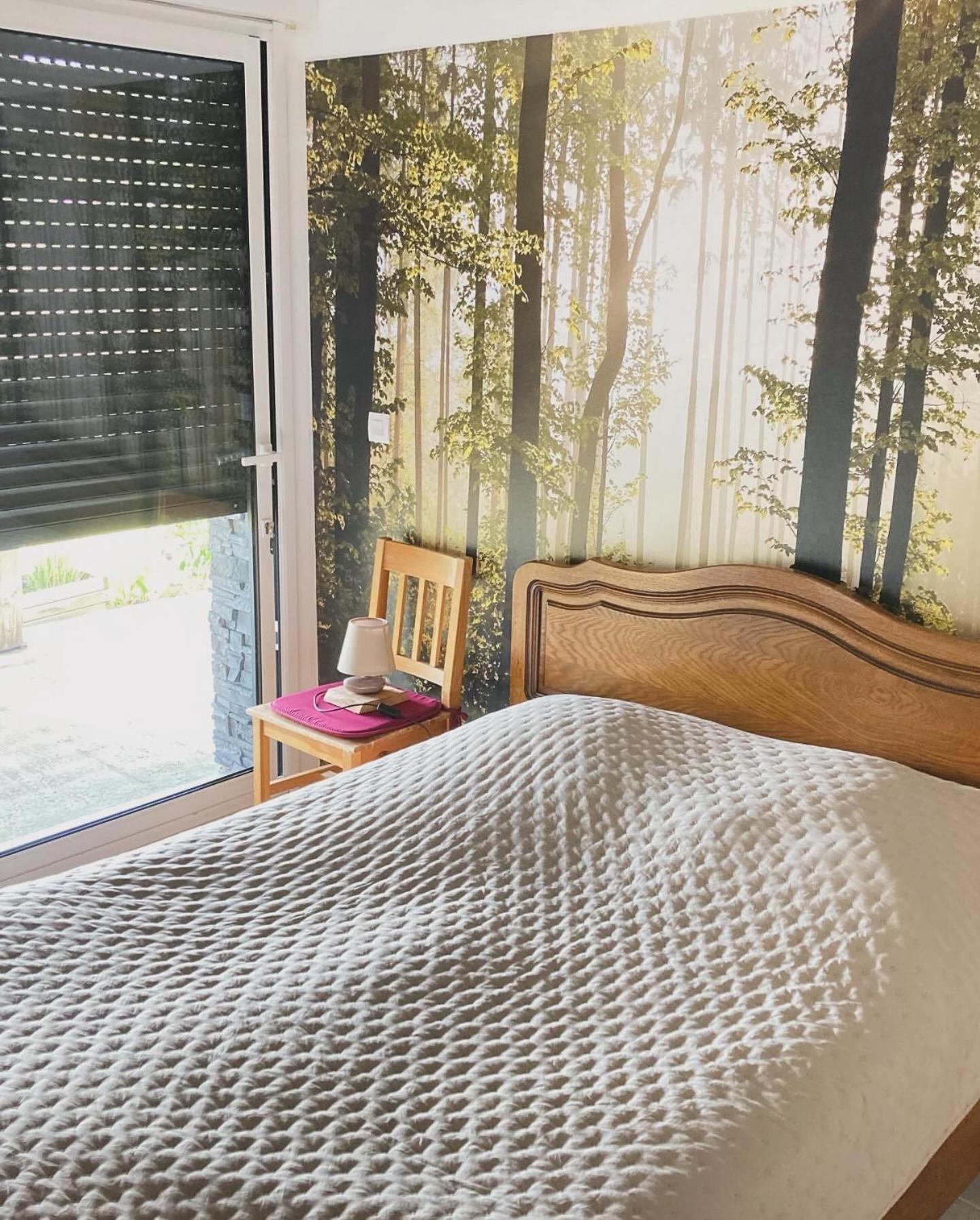 Chalet Authentique Au Calme, En Lisiere De Foret, Montagne, Sentiers 15Mn Gerardmer & Alsace "Chalet Mon Beau Sapin" Anould ภายนอก รูปภาพ