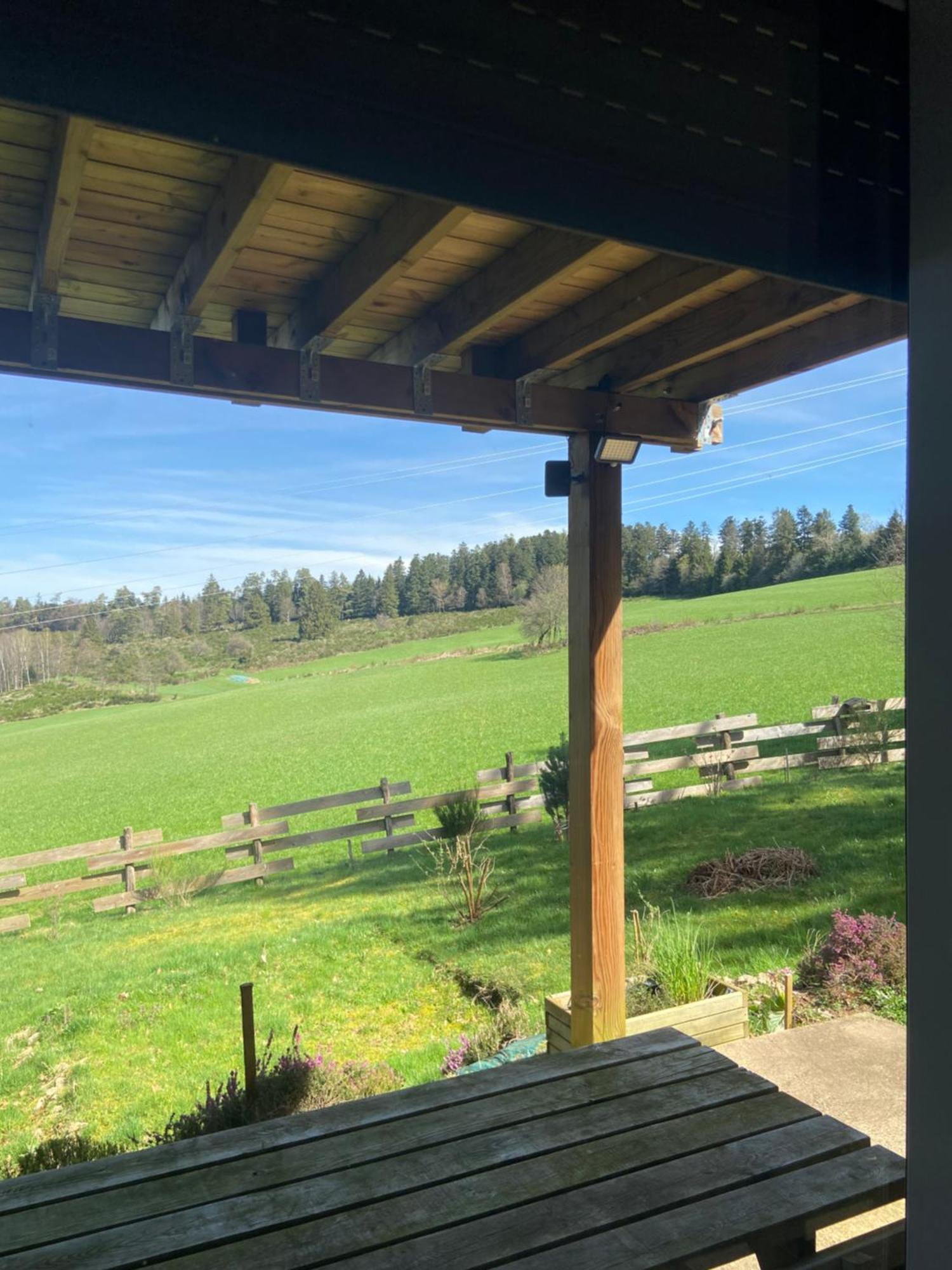 Chalet Authentique Au Calme, En Lisiere De Foret, Montagne, Sentiers 15Mn Gerardmer & Alsace "Chalet Mon Beau Sapin" Anould ภายนอก รูปภาพ