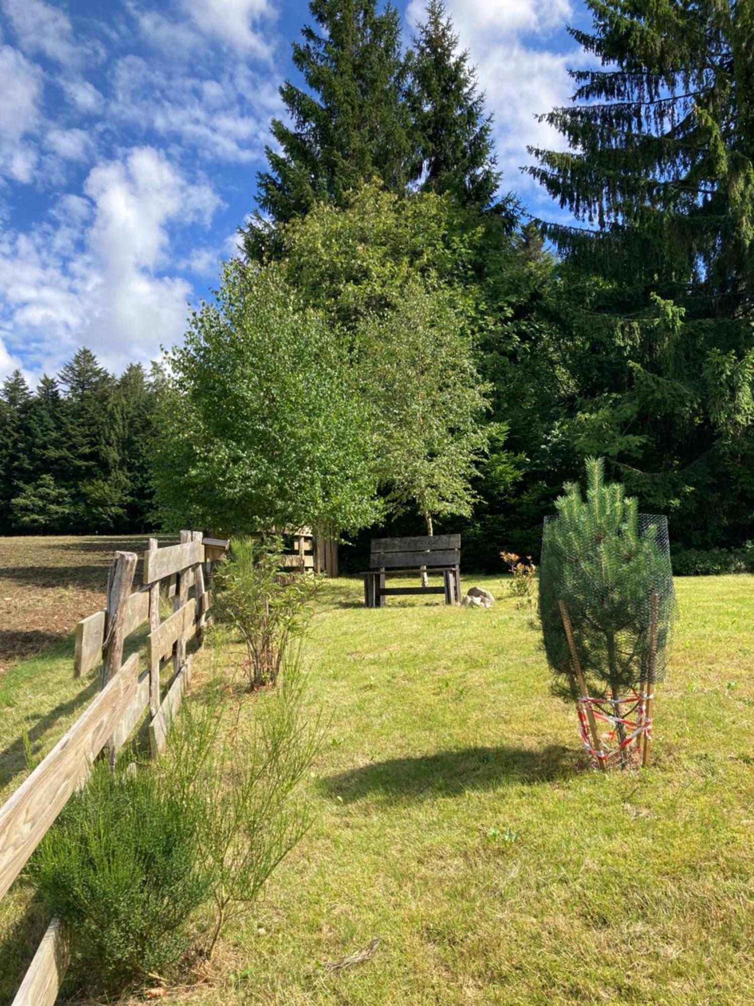 Chalet Authentique Au Calme, En Lisiere De Foret, Montagne, Sentiers 15Mn Gerardmer & Alsace "Chalet Mon Beau Sapin" Anould ภายนอก รูปภาพ