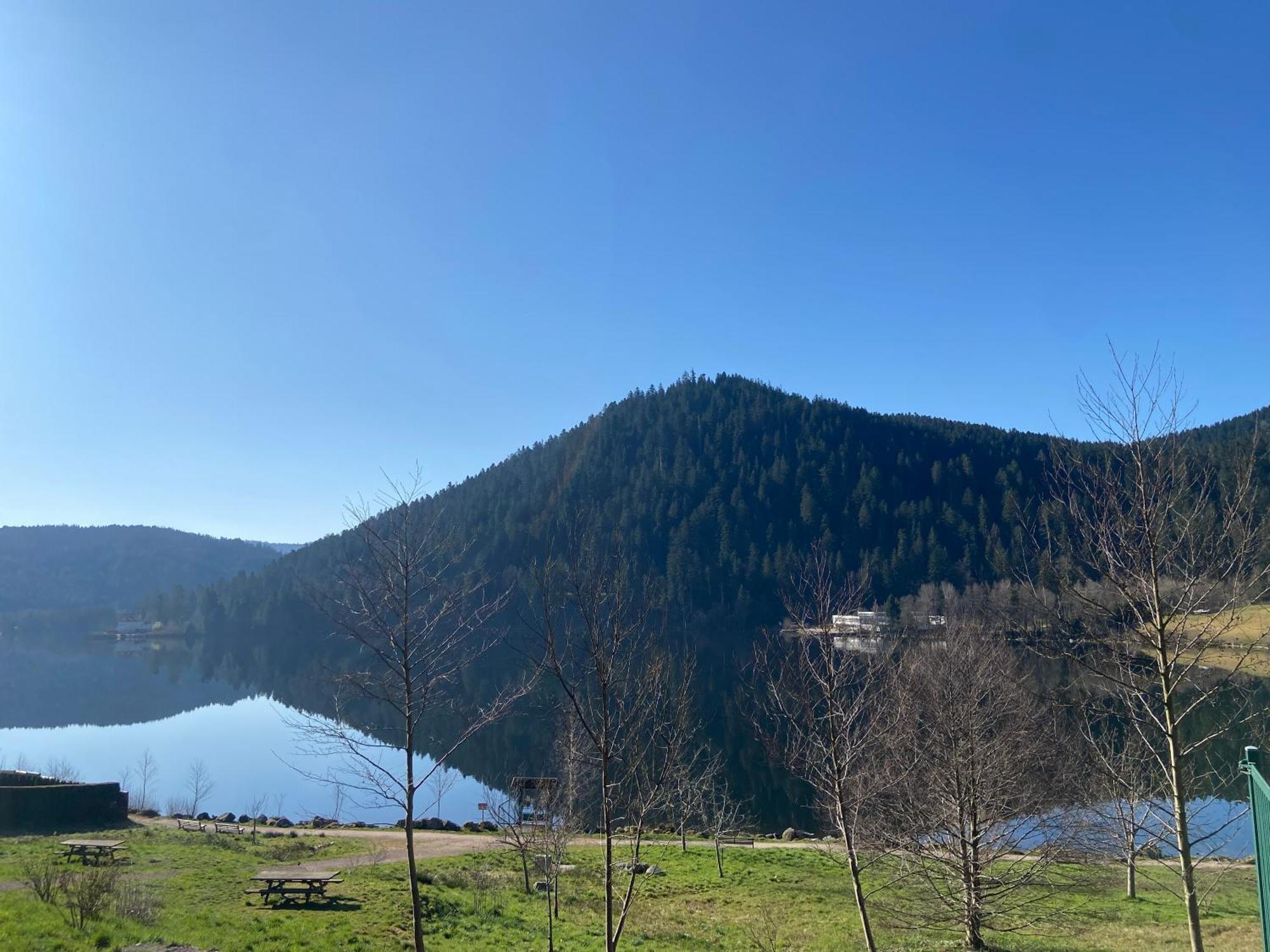Chalet Authentique Au Calme, En Lisiere De Foret, Montagne, Sentiers 15Mn Gerardmer & Alsace "Chalet Mon Beau Sapin" Anould ภายนอก รูปภาพ