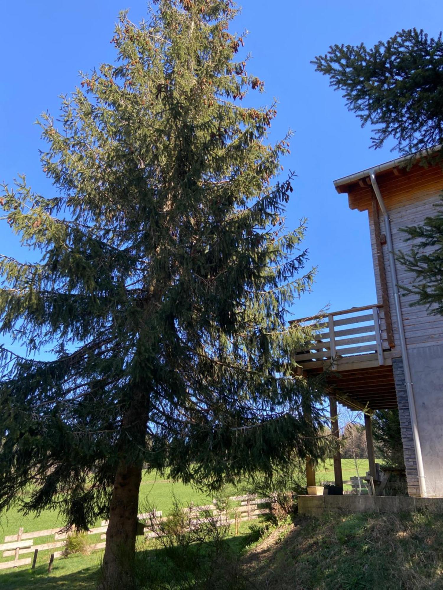 Chalet Authentique Au Calme, En Lisiere De Foret, Montagne, Sentiers 15Mn Gerardmer & Alsace "Chalet Mon Beau Sapin" Anould ภายนอก รูปภาพ